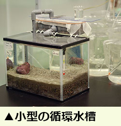 small tank